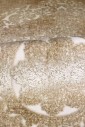 Ковер Jaddor r757d cream-cream